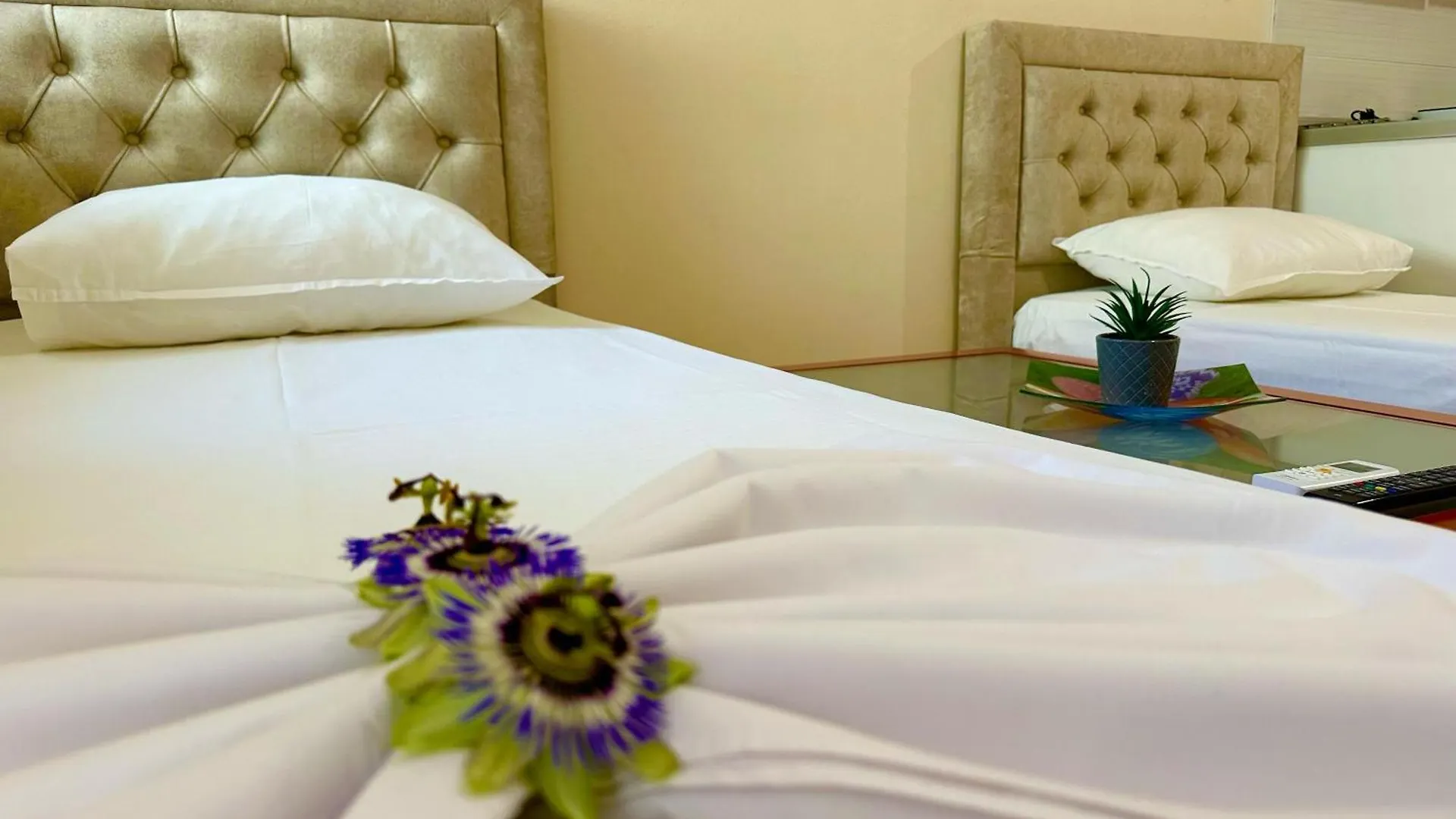 Onda Apartments Saranda
